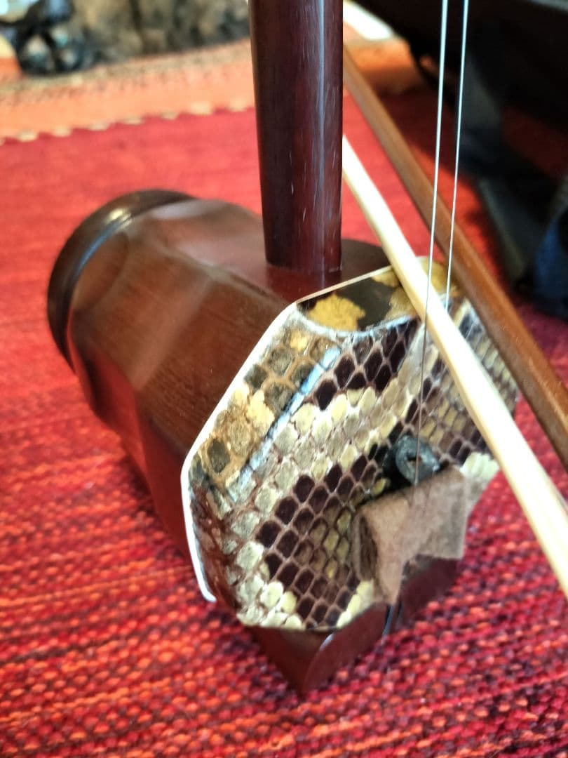 付属品充実！二胡本体と一式 ケース・教本DVD付き