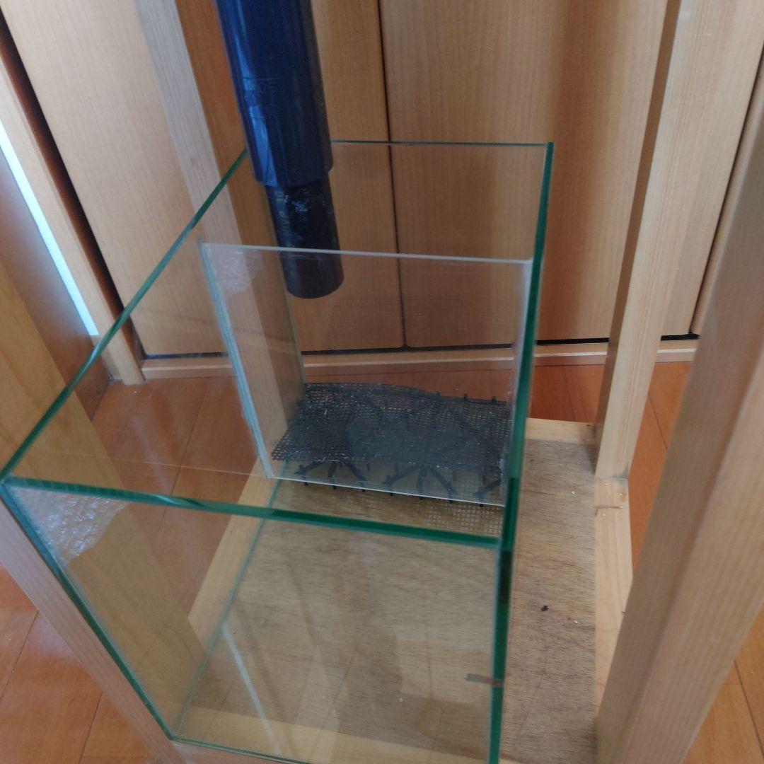 直接取り引き限定】30キューブハイ ガラス オーバーフロー水槽セット