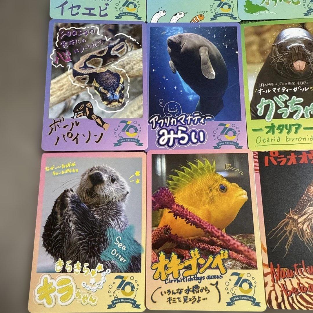 鳥羽水族館 コレクションカード ⑨ 16枚セット - メルカリ