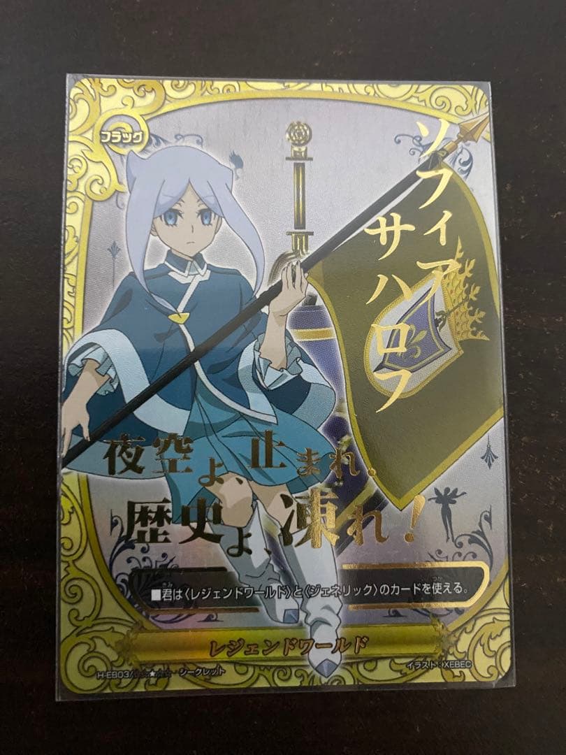 ソフィアサハロフシークレットフラッグバディファイト