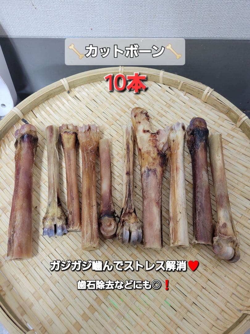 3本セット 笑う犬の生活 YARANEVA 1 2 ベストセレクション 小須田