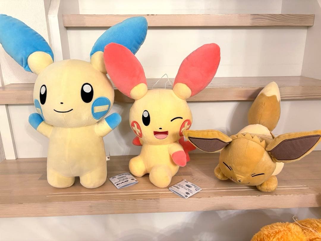 ポケモン　ぬいぐるみ　19体セット　まとめ売り　ホゲータ　クワッス　ニャオハ