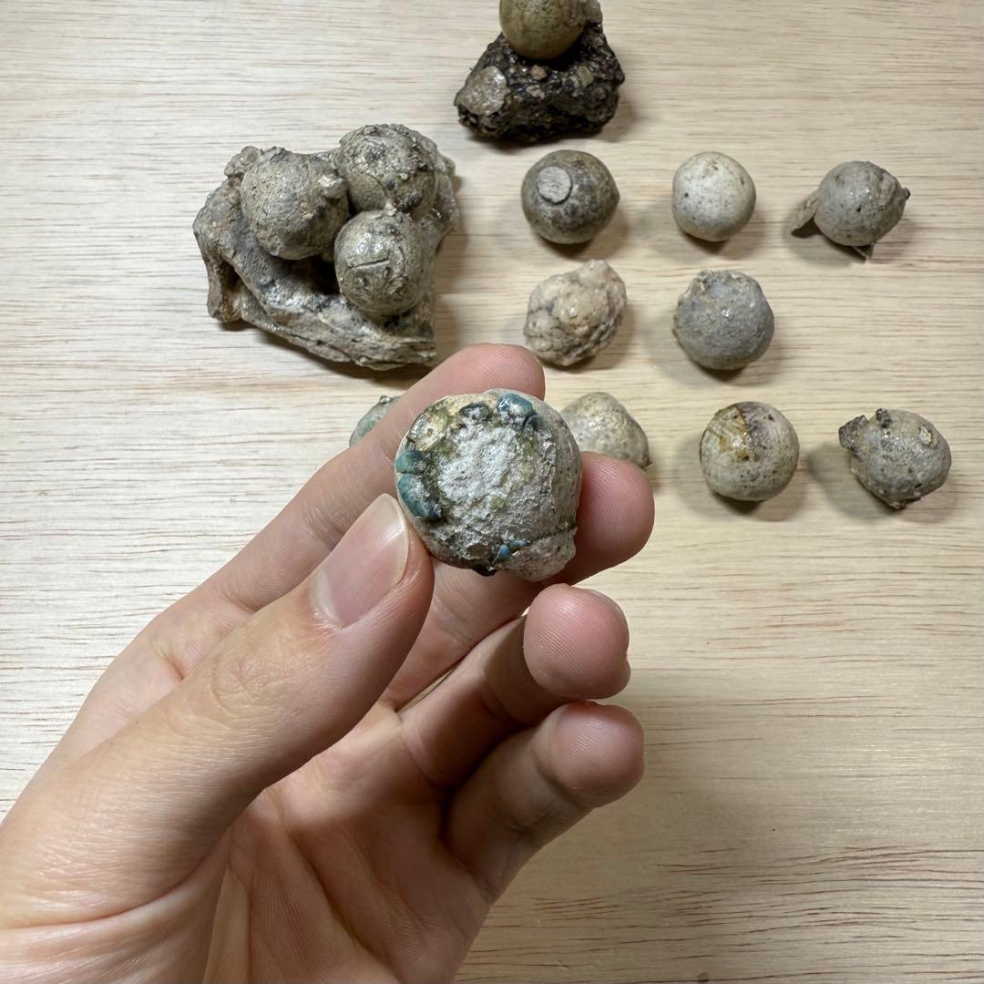 古瀬戸 陶丸 鎌倉時代 室町時代 陶片 発掘品 古常滑 古美濃 古美術 骨董品