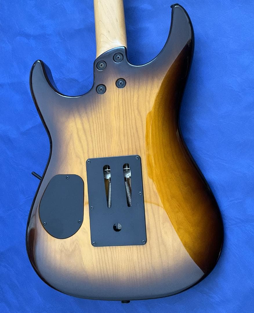 レア仕様】Fernandes FR ブラウンバースト【特殊トレモロ】 - メルカリ