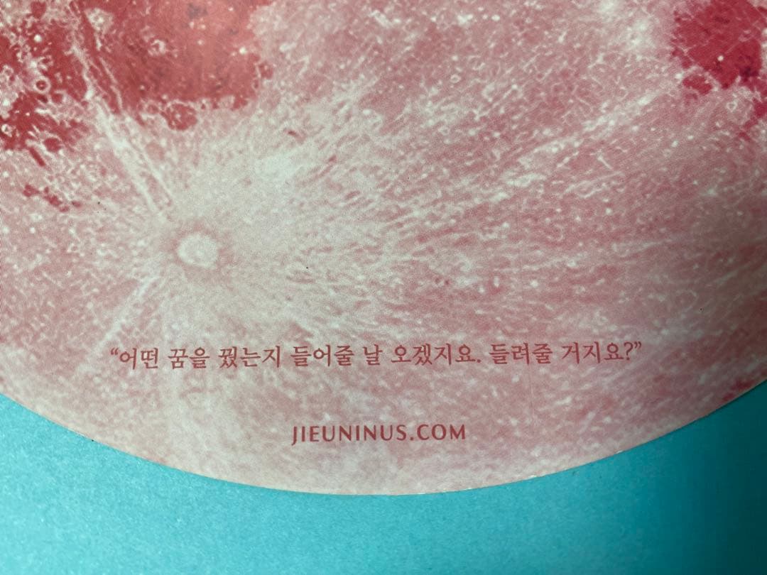 IU 15周年 ペンコン 公式 ピッピ ダユギ トレカ ぬいぐるみセット E