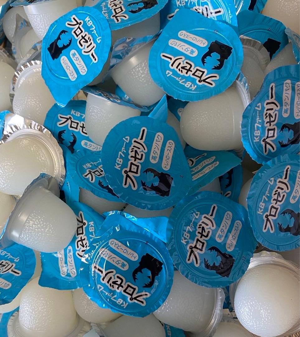 国産プロゼリー3000個KBファーム・カブトムシ クワガタ 【木ぼく】