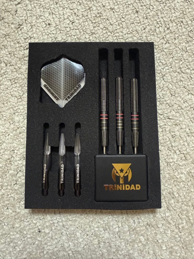 ヒューゴ ヒューゴ・リョンモデル スティール