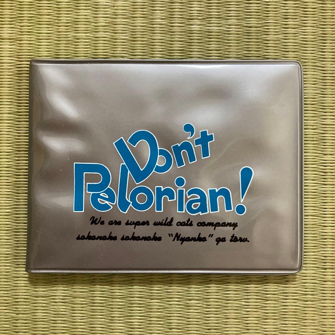 懐かしい　レア物　「なめんなよ」カードケース　カード３枚