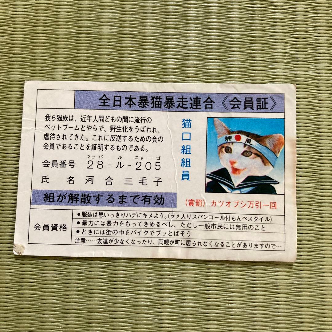 懐かしい　レア物　「なめんなよ」カードケース　カード３枚