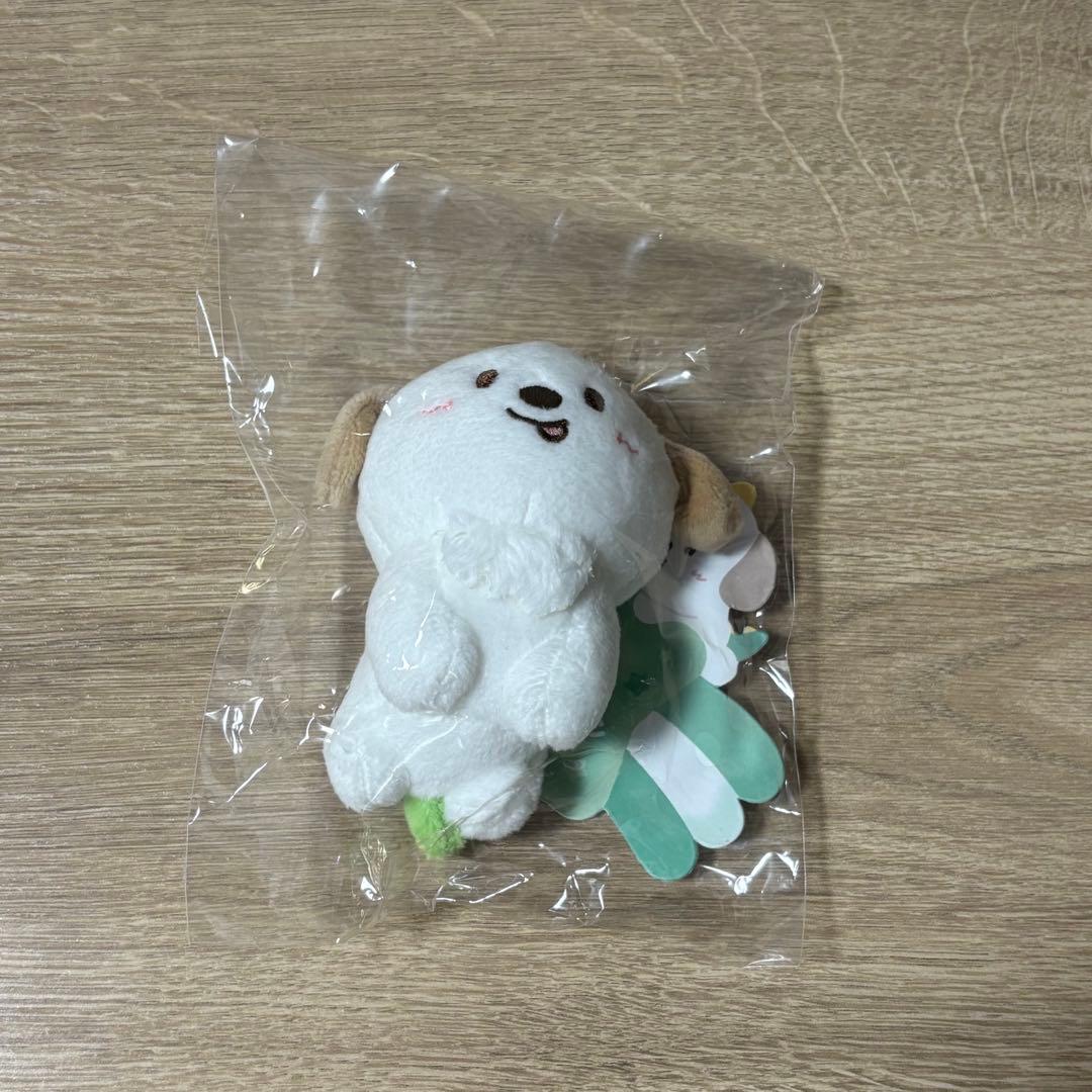 RIIZE アントン モンリョンイ マスコット ぬいぐるみ RIIZE アントン