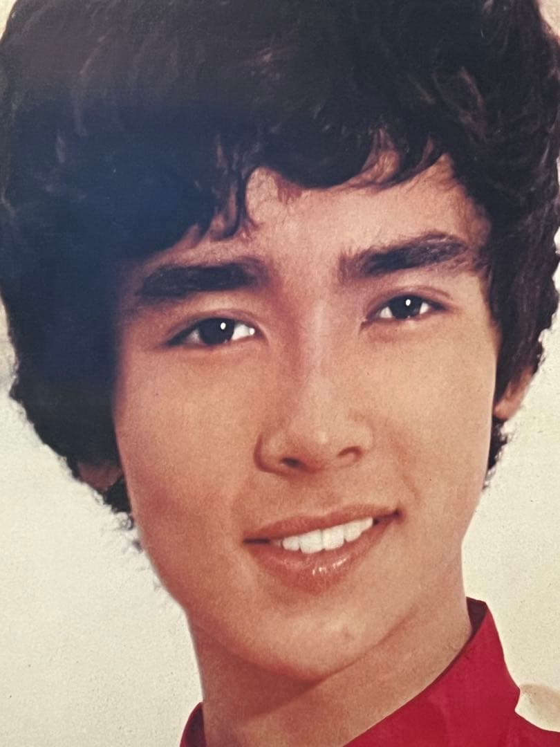 幻の名品歌謡界の幕開け新御三家若き日の郷ひろみ大型木製写真パネルピニールカバー付