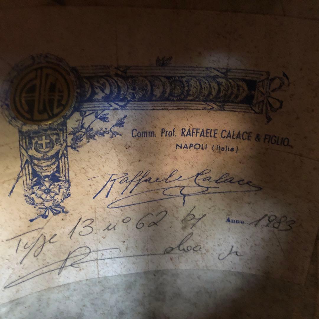 ラファエレカラーチェマンドリン　Type13