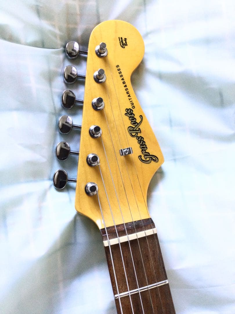 ESP GrassRoots/グラスルーツ