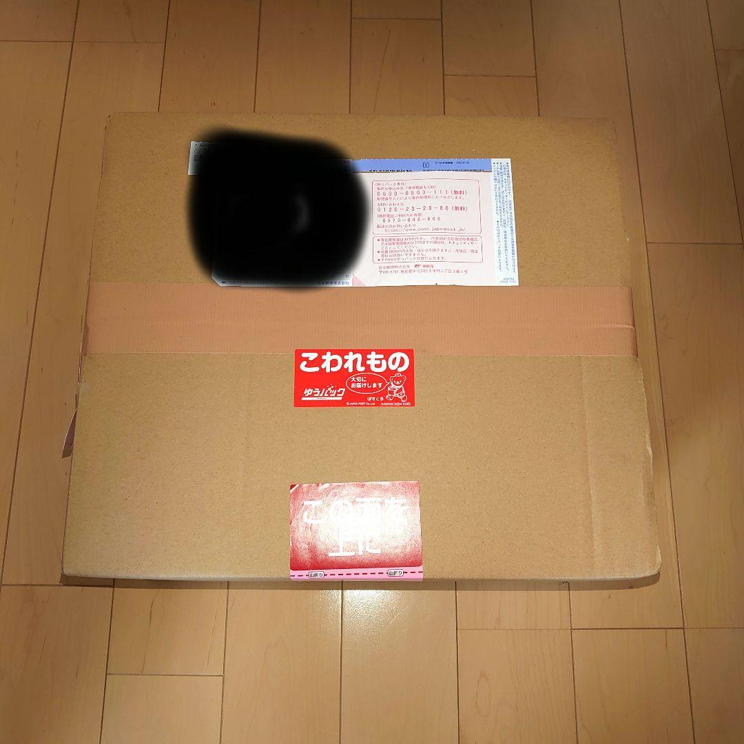 Spice Seed スパイスシード 北斗の拳 レイ（黒髪）