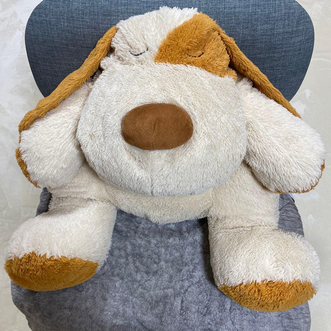 大谷翔平選手 ニトリ 犬のぬいぐるみ - メルカリ