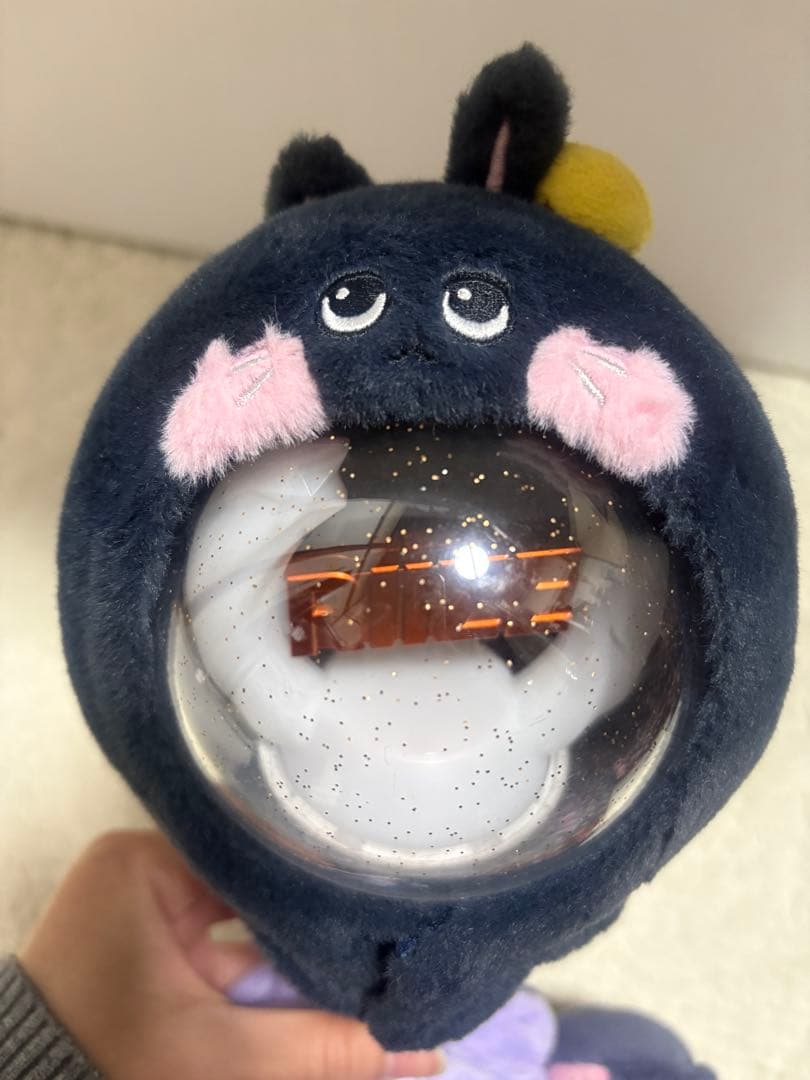 RIIZE ウォンビン トニャンドク ペンライトカバー - メルカリ