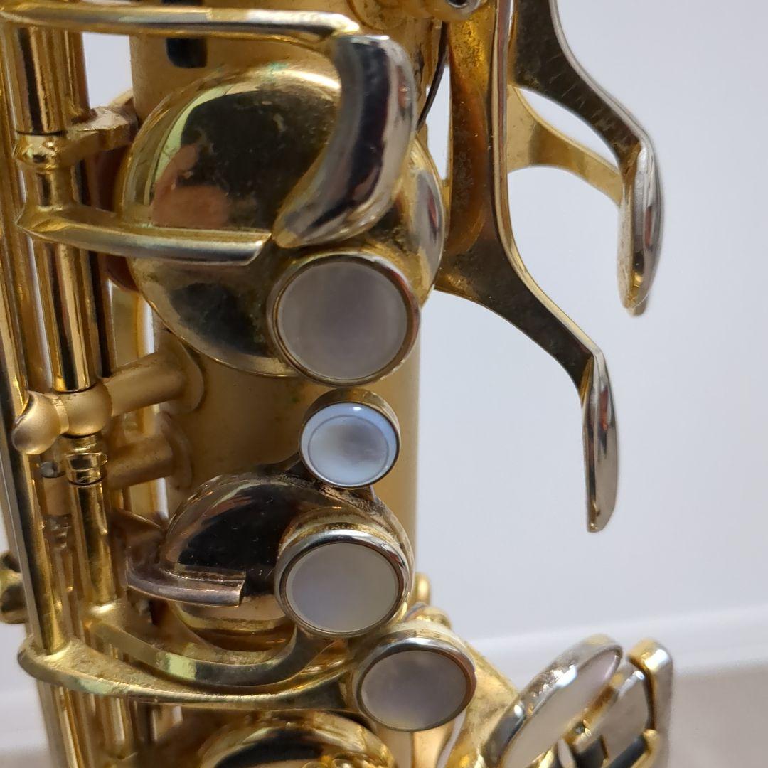 borgani pearl gold ボガーニ テナーサックス