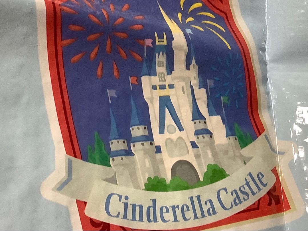 【確認画像】ディズニー　バケパクッション&レジャーシートセット