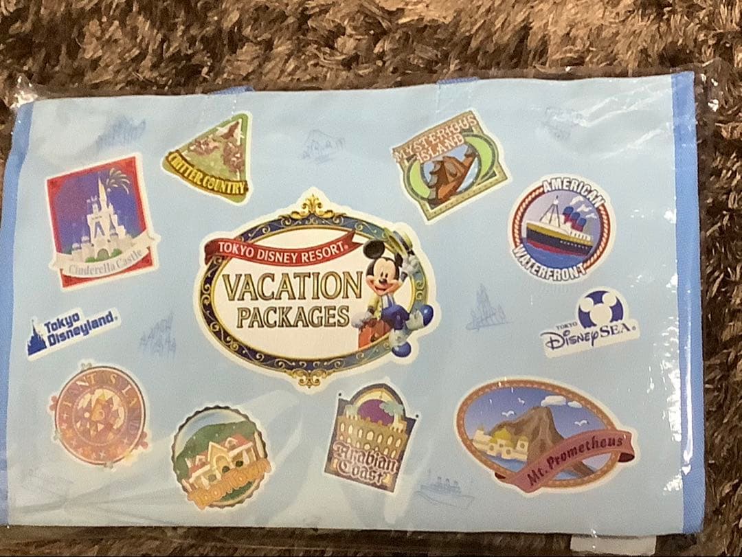 【確認画像】ディズニー　バケパクッション&レジャーシートセット