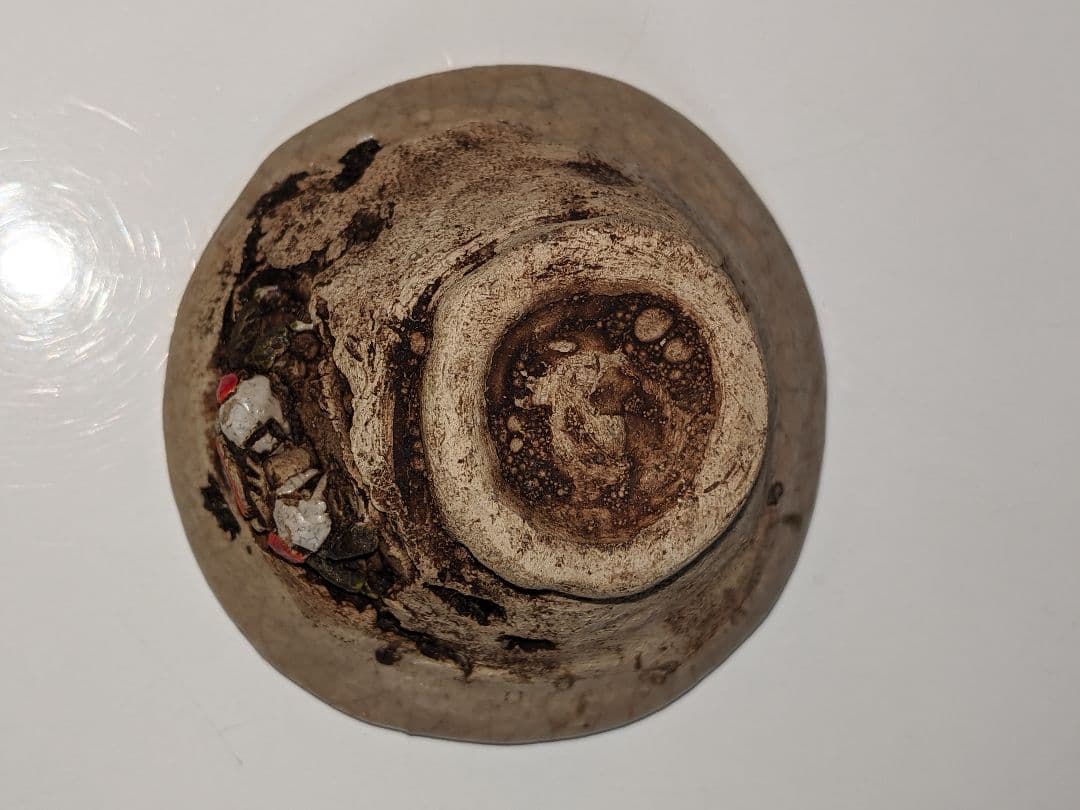 楽山焼き 二六 水月焼き？蟹 水月焼 湯呑 蟹細工 楽山焼