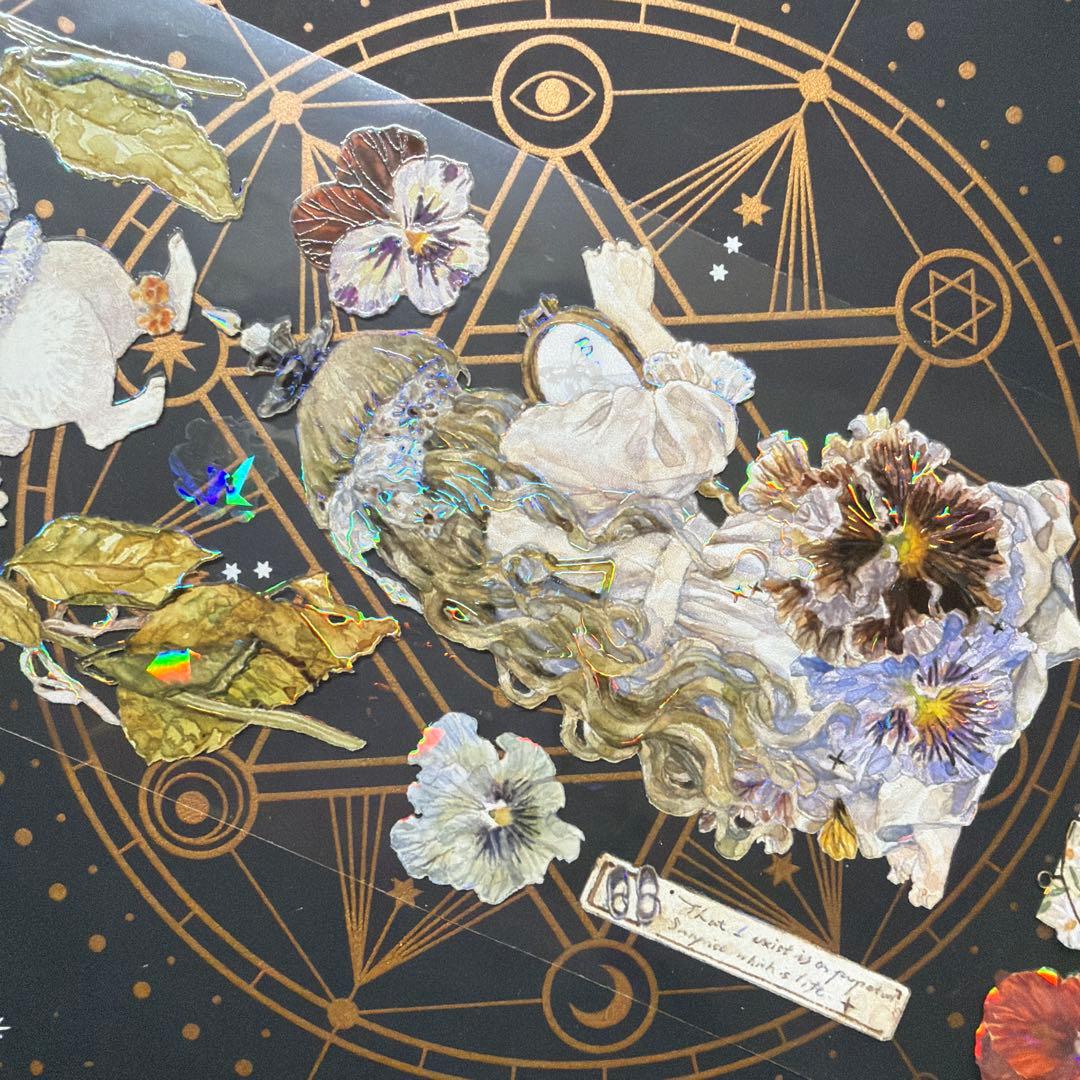 8957】海外 マステ 巻 貝殻光マスキングテープ 残量多め 人物系