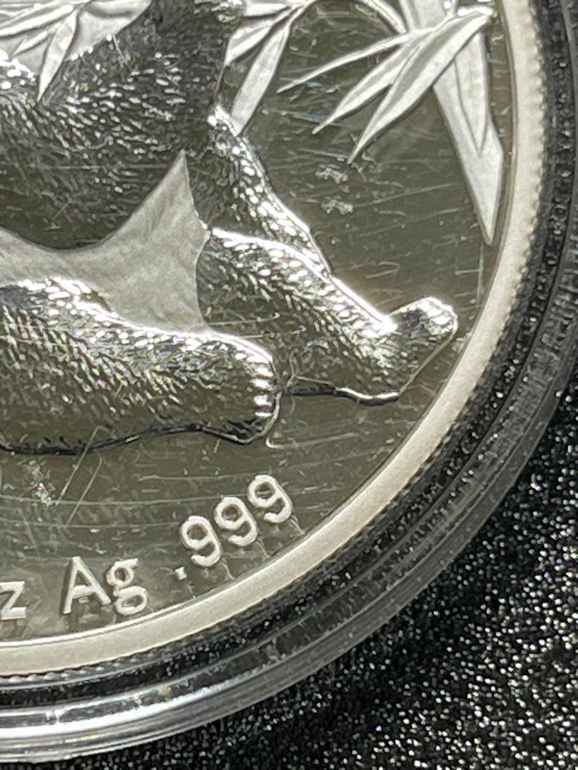 や*す様 銀貨 2007 中国 パンダコイン 10 元 1 オンス Ag.999
