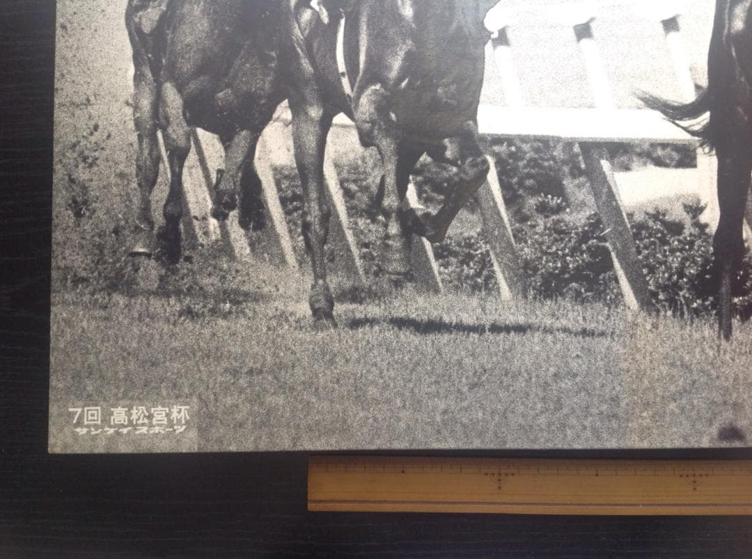 競馬パネル：トウショウボーイ「1977年 第7回高松宮杯」※白黒４角