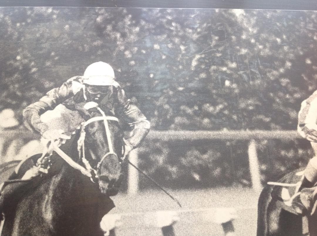 競馬パネル：トウショウボーイ「1977年 第7回高松宮杯」※白黒４角