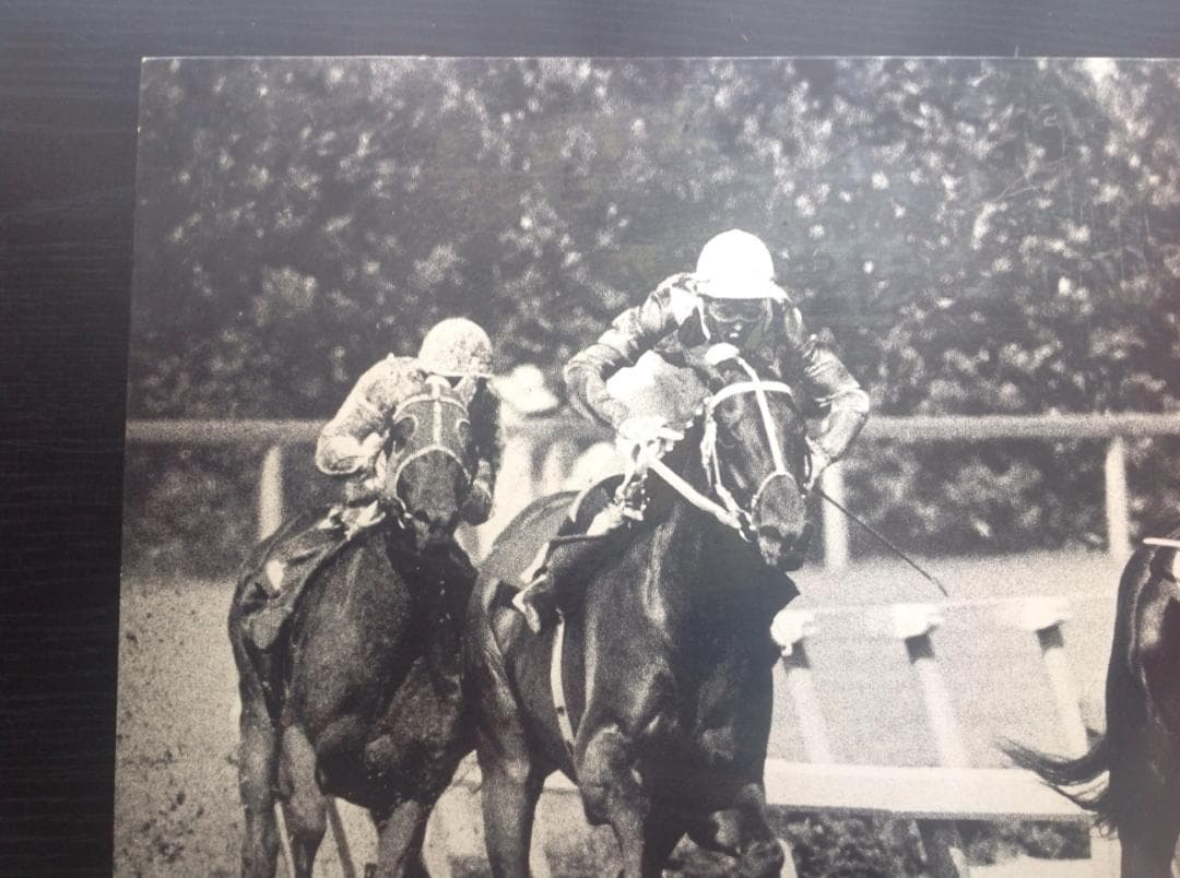 競馬パネル：トウショウボーイ「1977年 第7回高松宮杯」※白黒４角