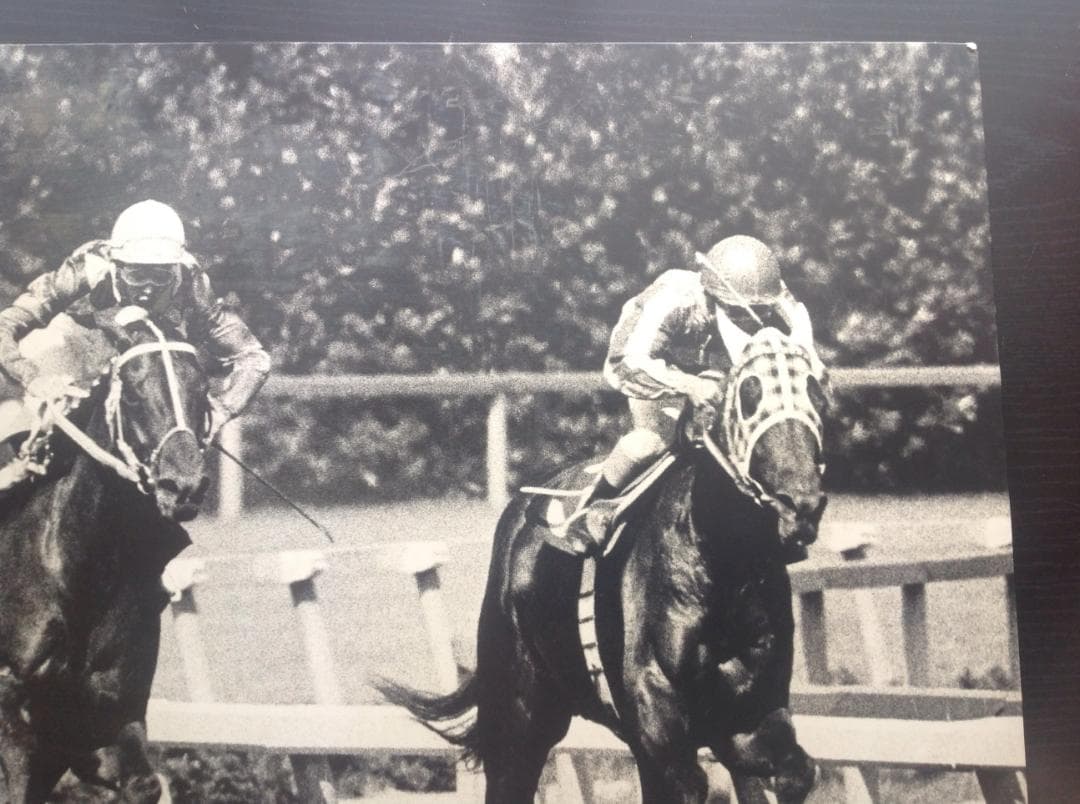 競馬パネル：トウショウボーイ「1977年 第7回高松宮杯」※白黒４角