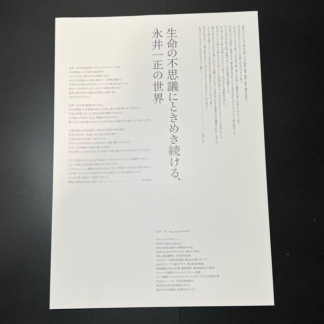 【入手困難】永井一正　『LIFE』ポスター 5枚セット