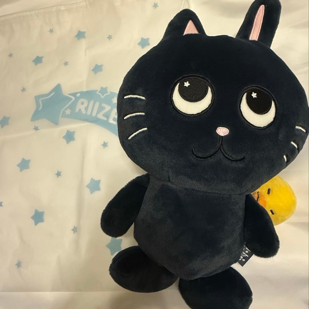 RIIZE ウォンビン トニャンドク 40cm ぬいぐるみ - メルカリ