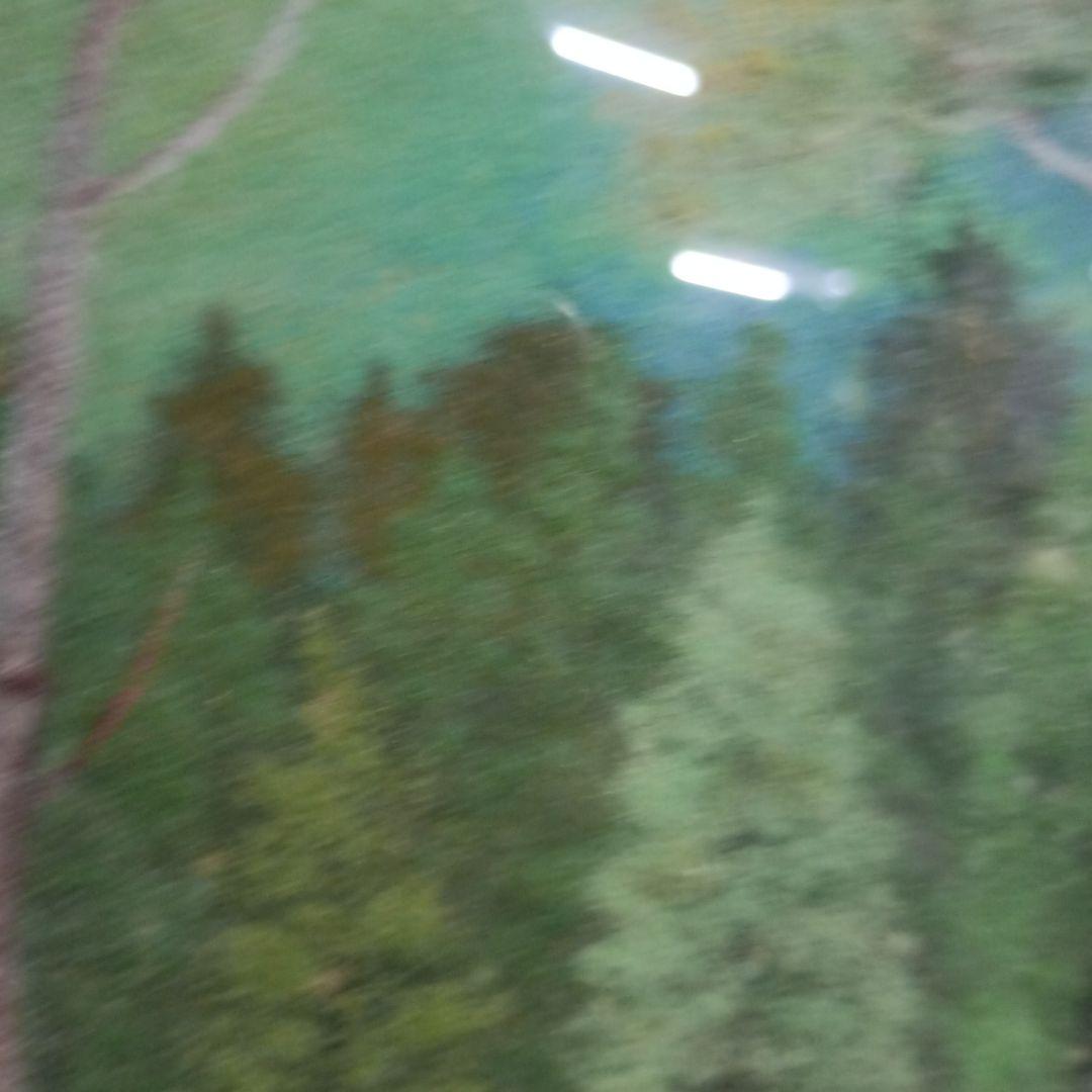 6036）上野文瑚　油彩？日本画？　新緑の頃