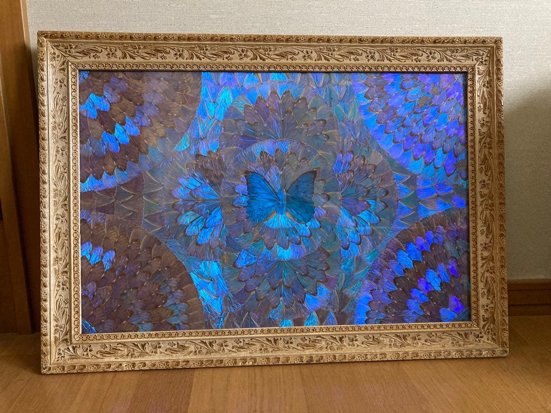 モルフォ蝶　大型額入り美術品　 約49cm✖️69cm モルフォ蝶 大型額入り美術品 約49cm✖️69cm