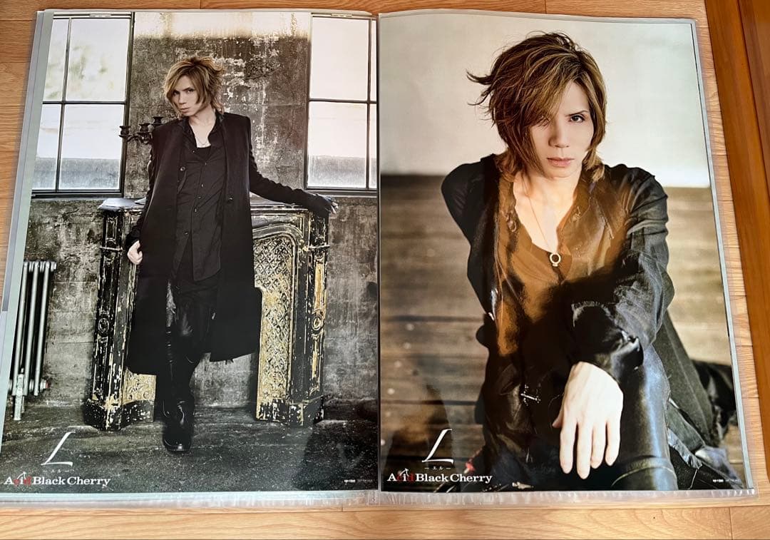 32枚Acid Black Cherry CD予約特典・ツアーポスター ②
