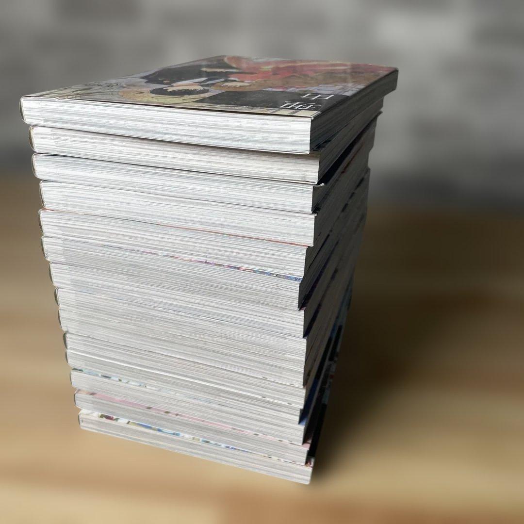 彼女が公爵邸に行った理由 1〜14巻　完結全巻