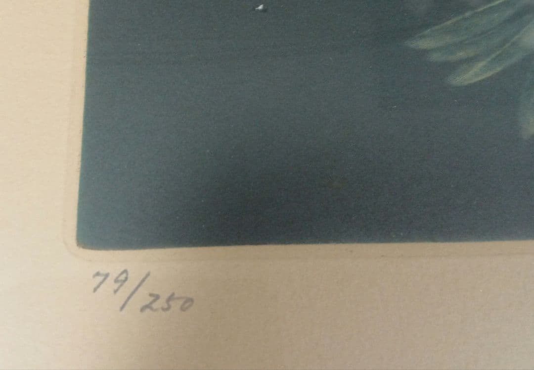 池田満寿夫 メゾチント　鳥のネックレス　79/250 鉛筆サイン入り　真作