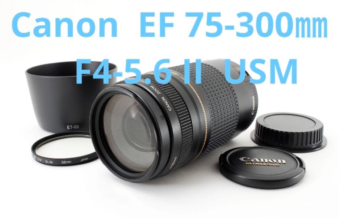 イベント/スポーツ/人気の望遠レンズ☆Canon EF75-300㎜ L108522748