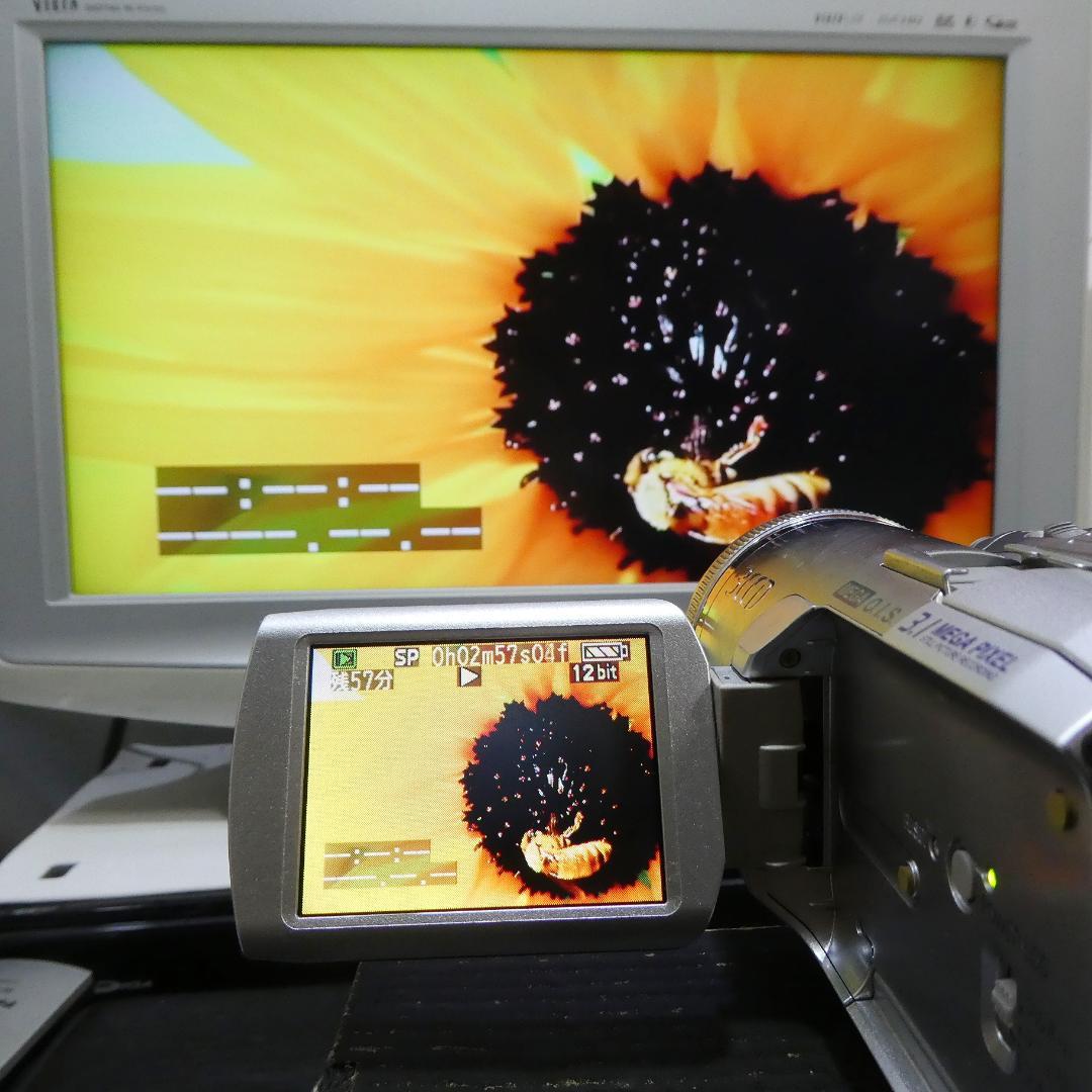 動作良好 パナソニックNV-GS250 MiniDVビデオ　DVD化に最適