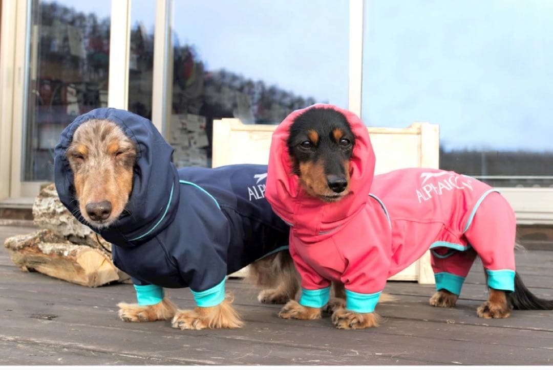 アルファアイコン ALPHAICON レインドッグガード ピンク レインコート