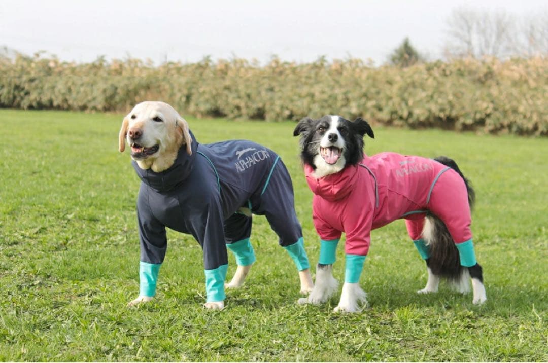 アルファアイコン ALPHAICON レインドッグガード ピンク レインコート