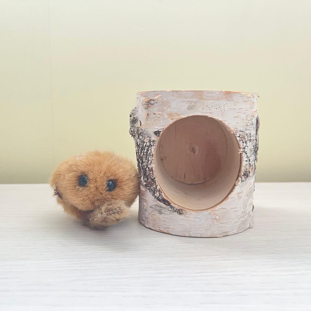清泉寮 やまね工房 白樺の巣×ぬいぐるみセット - メルカリ