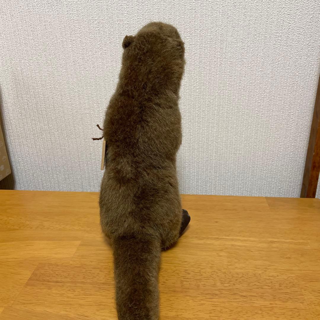 KOESEN ケーセン　ヨーロッパカワウソ