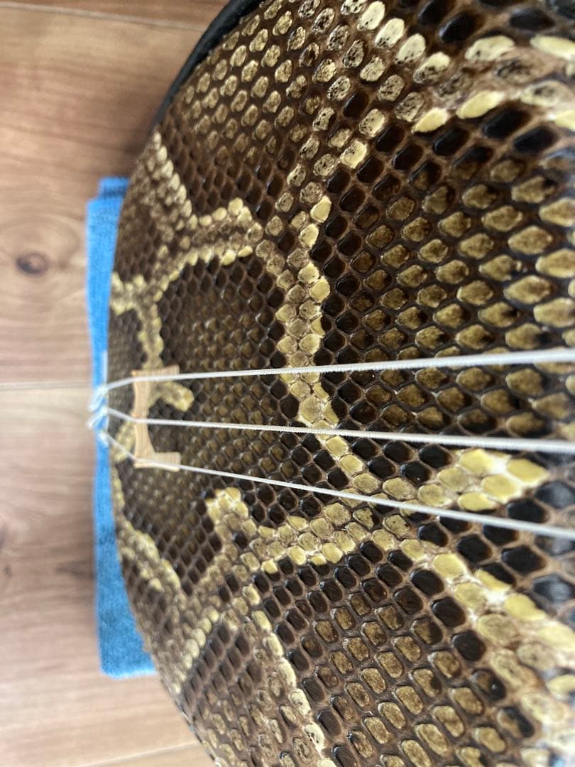 登り竜ティーガ】沖縄三線✨本革強化張り✨訳あり