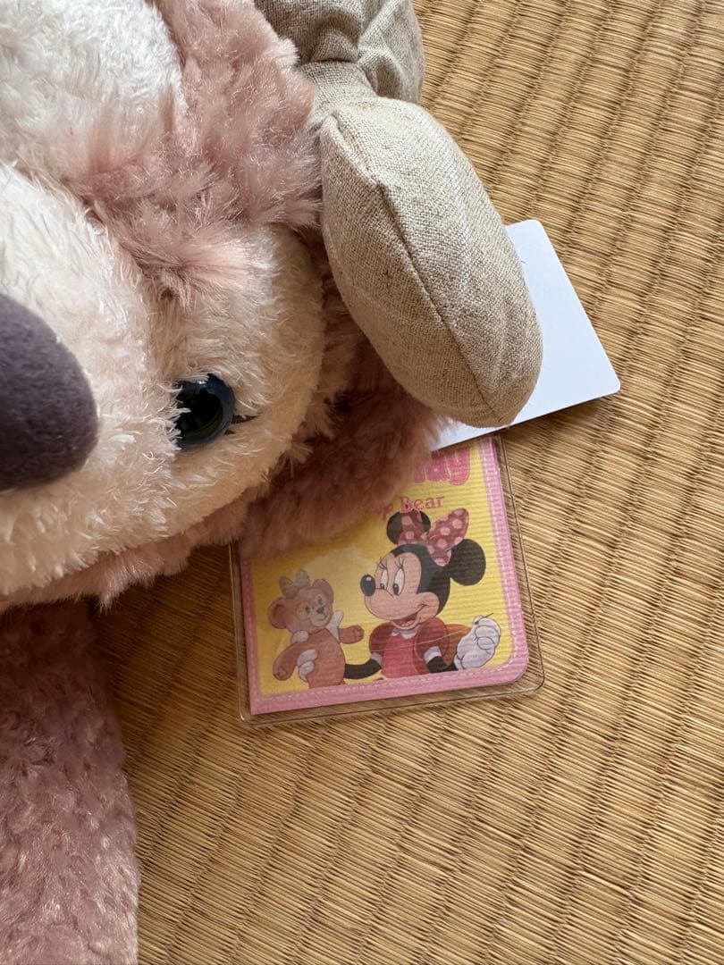 Duffy & ShellieMay ぬいぐるみ ディズニーチケット付きザクラス