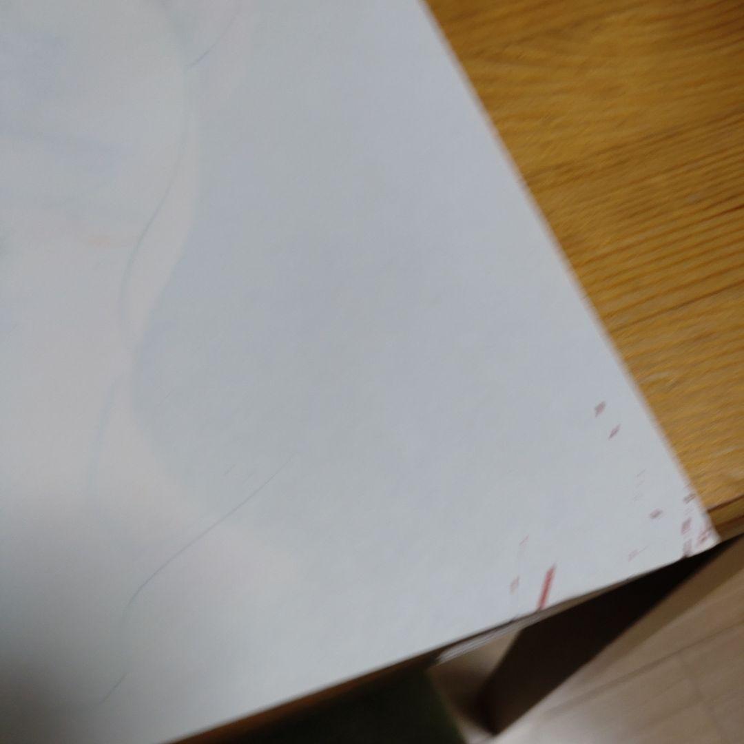 愛天使伝説ウェディングピーチ セル画 まとめ売り