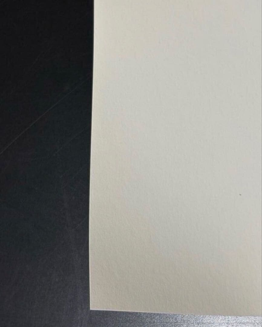 ダイアナ妃 Diana Princess of Wales イギリス王室