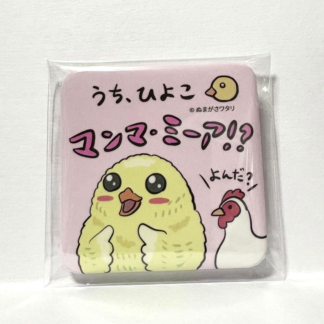 ぬまがさワタリ 鳥展 特別展 鳥 うち、ひよこ マンマミーア 缶バッジ