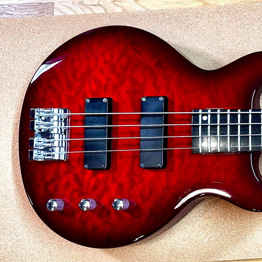 EDWARDS E-J-140 Fire Black LUNA SEA Jモデル EDWARDS E-J-140TVB