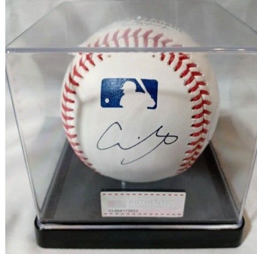 LAドジャース 大谷翔平 佐々木朗希 山本由伸 直筆サインボール /ケース